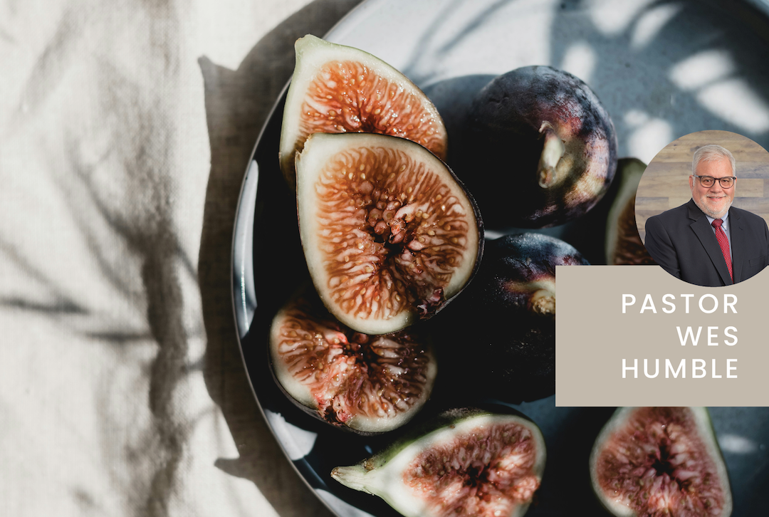 The Fruits of the Spirit Liberty HealthShare devotionals