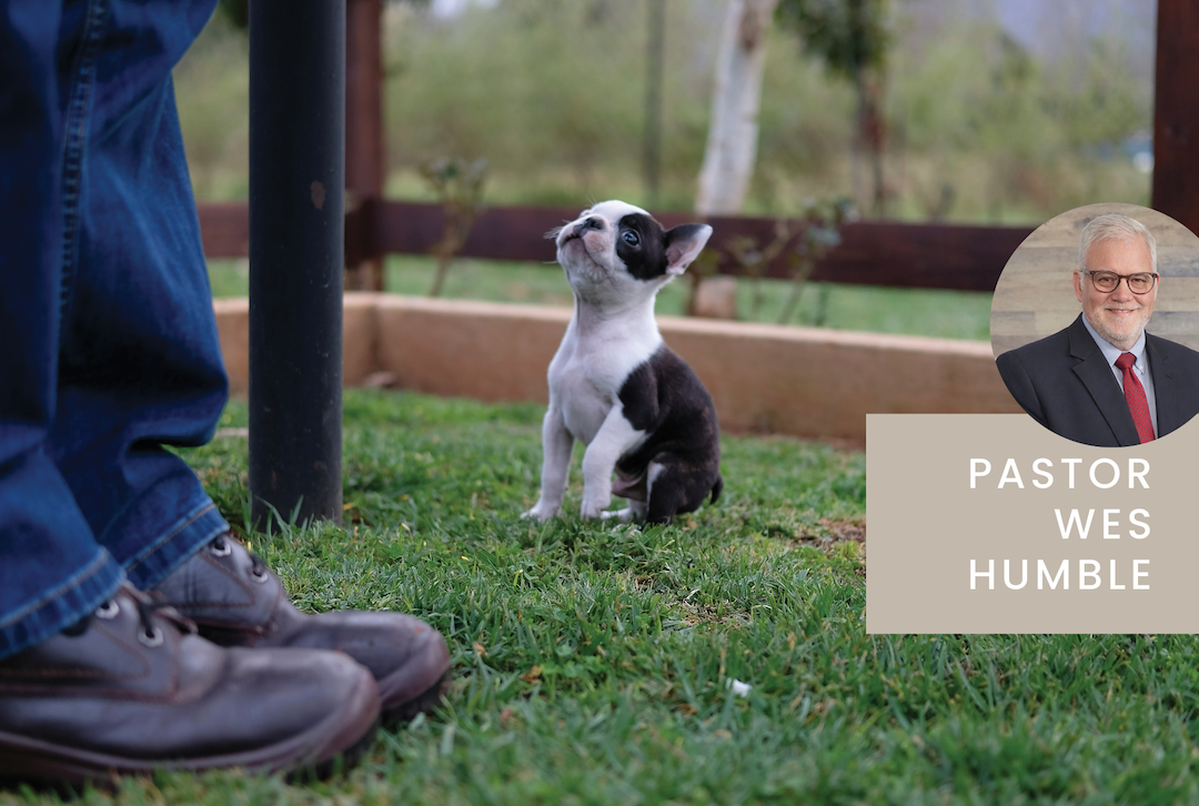 Liberty HealthShare devotionals loyalty and kindness