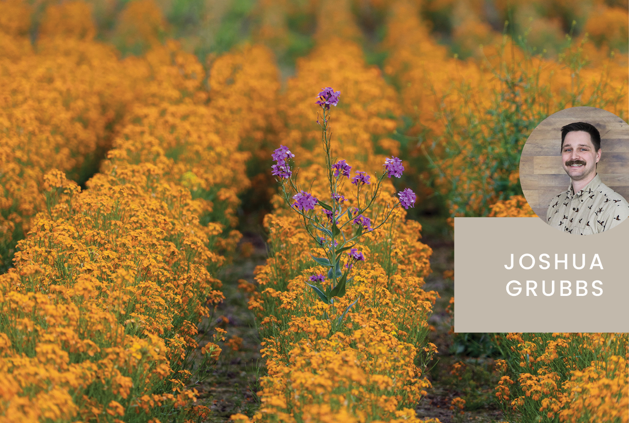 Liberty HealthShare Devotionals - One out of ten