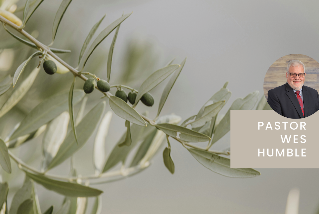 The Way to Abundant Peace and Grace