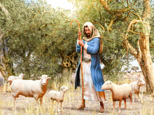 A shepherd carries hope in life along with the Bible to guide their flock with blessing.