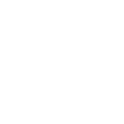 Dollar bill icon