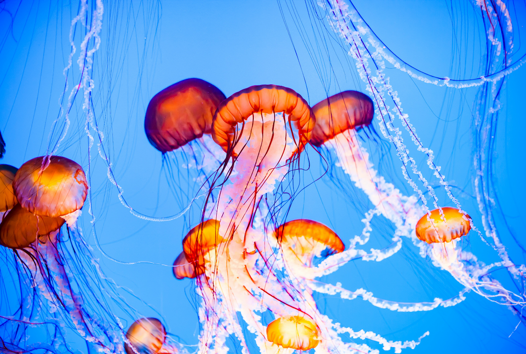 Being an Active Consumer of Healthcare: Empowering Yourself and Our Community