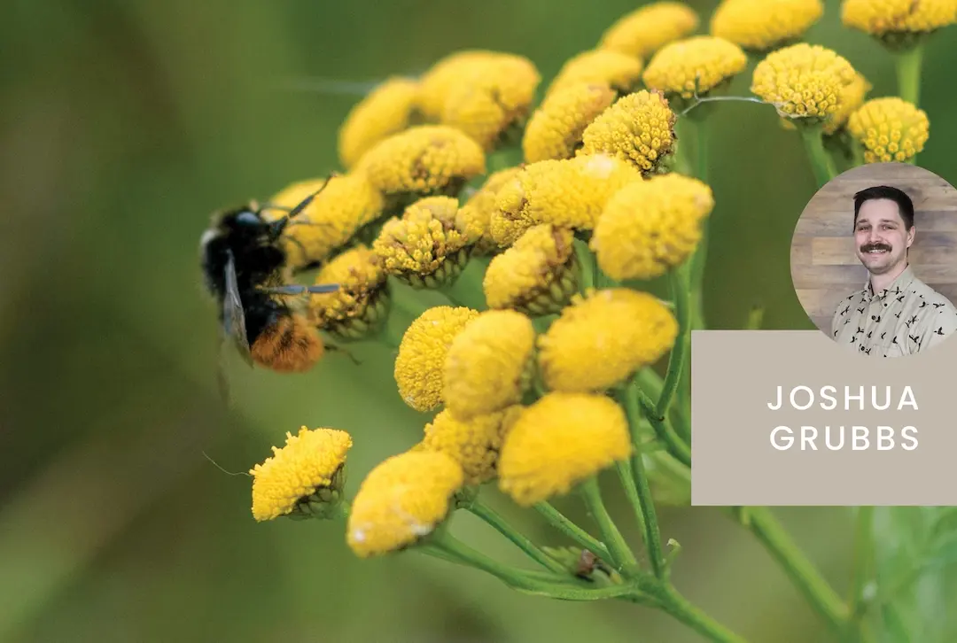 Notice the Little Things